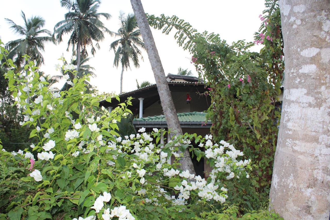 All View Resort Tangalle Exterior photo